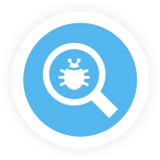 Vulnerability Scanning and Management